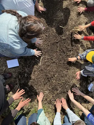 Channeling energy towards our seeds