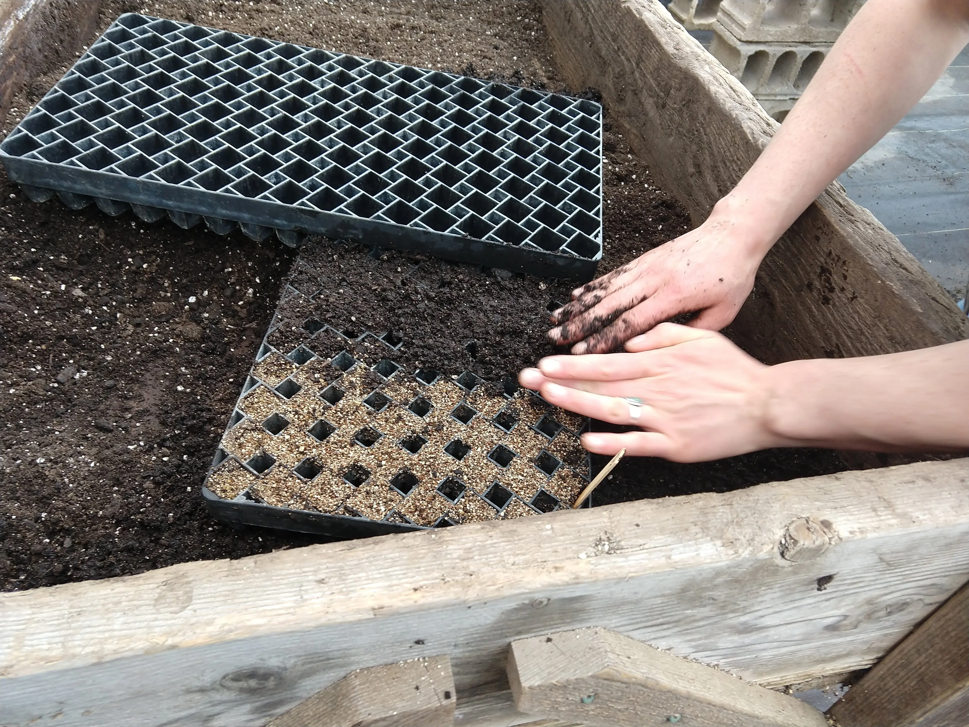 And this is how you were born!