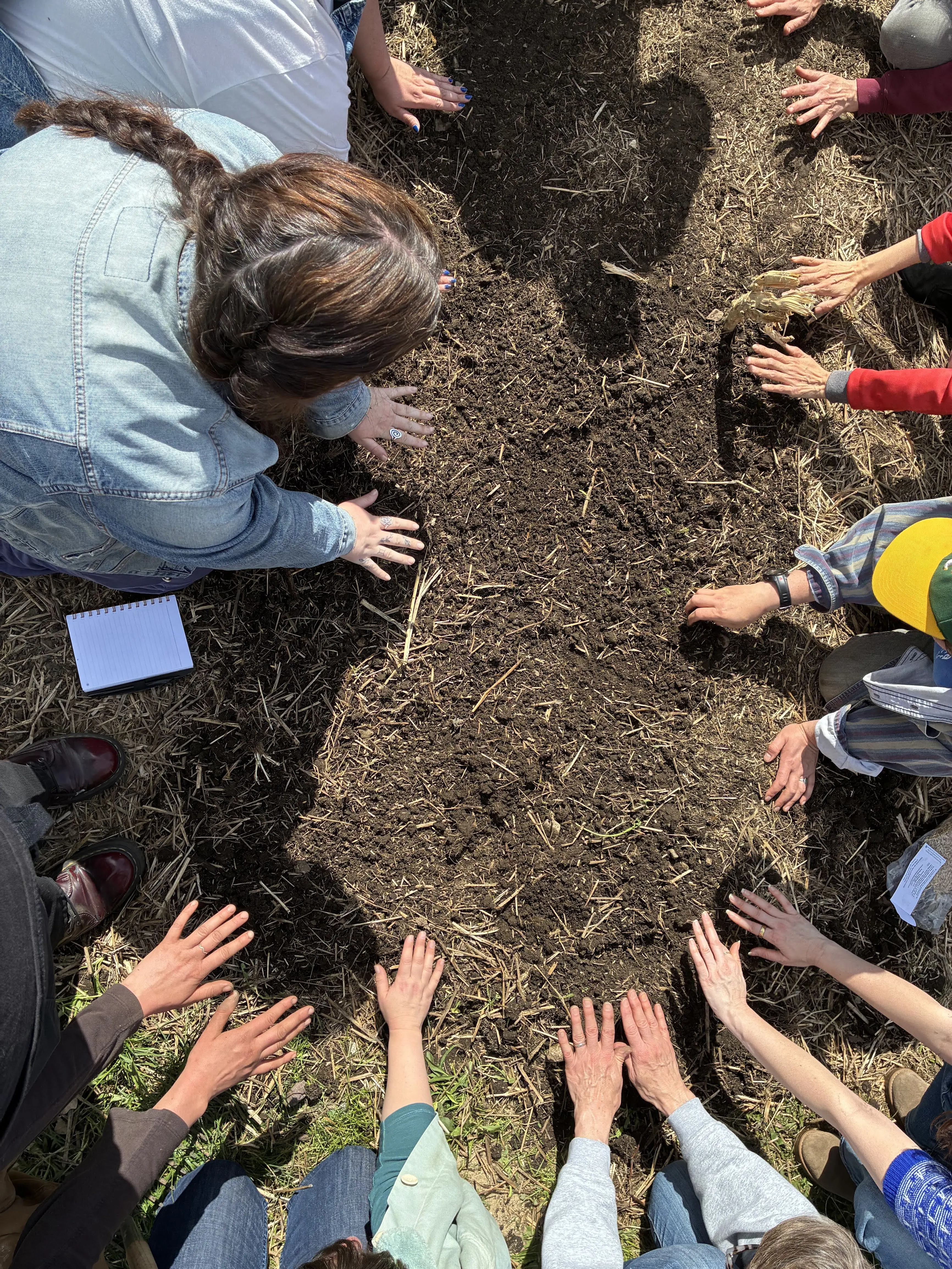 Channeling energy towards our seeds